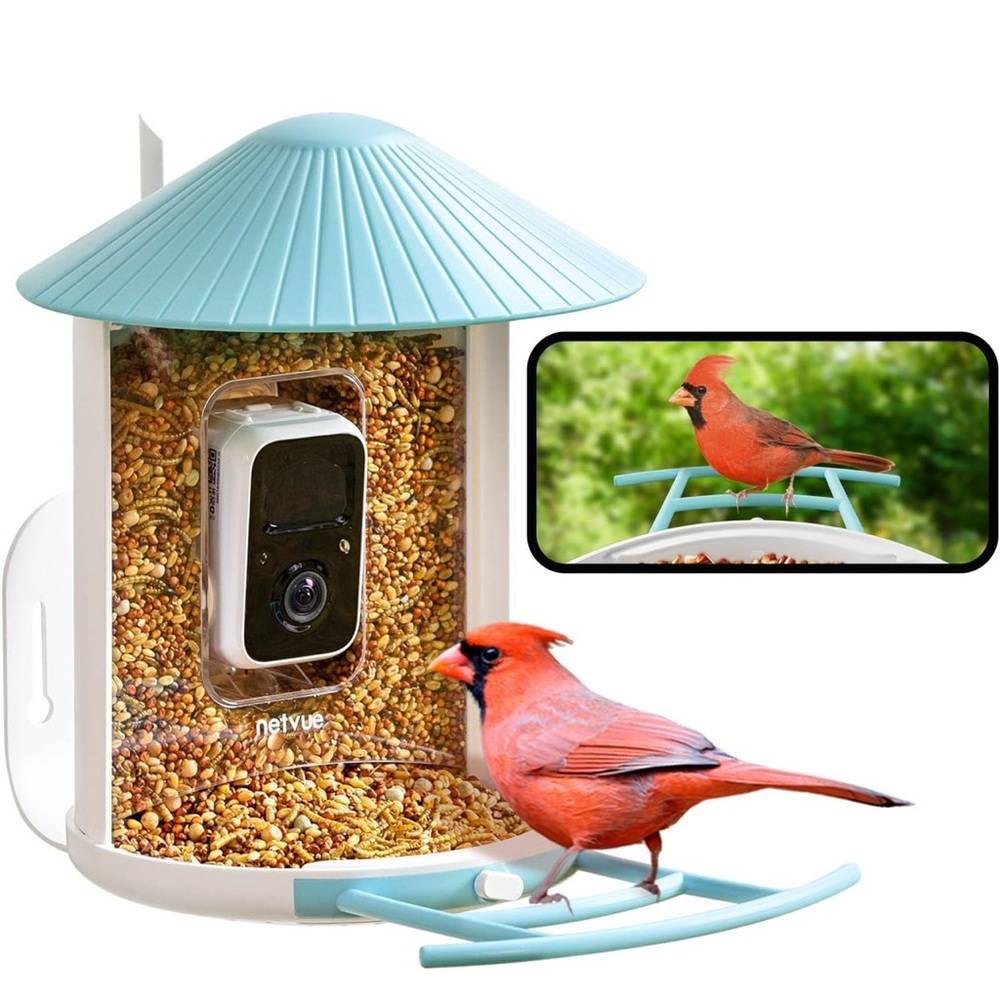 Blue Bird Feeder with Camera